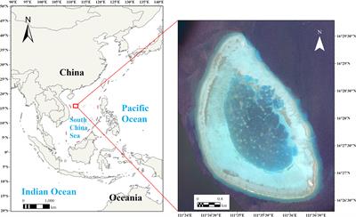 Sustainability assessment for an offshore coral reef island based on scenario simulation and emergy analysis